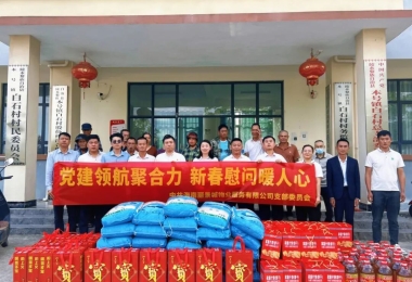 【旗帜&middot;引领】党建领航聚合力&middot;新春慰问暖人心 - 丽景城物业公司党支部开展春节走访慰问主题党日活动