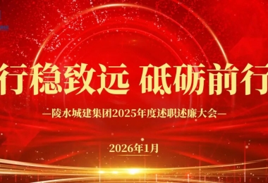 【快报&middot;动态】述职述廉交答卷 凝心聚力谱新篇│陵水城建集团召开2025年度述职述廉大会