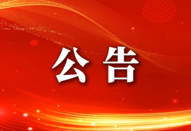 陵水黎族自治县城乡建设集团有限公司关于&ldquo;酸粉巷&rdquo;经营管理项目的外部&ldquo;揭榜挂帅&rdquo;张榜公告