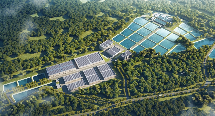 海南省陵水县水产南繁种苗基地（港演片区）项目