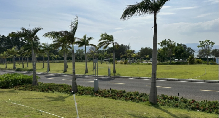 海南陵水黎安国际教育创新试验区绿化养护服务项目