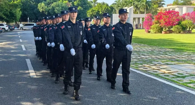 陵水黎族自治县政务服务综合楼安保项目